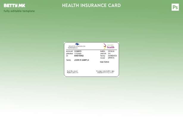 Модерен стил Шаблон за здравствено осигурување во Невада